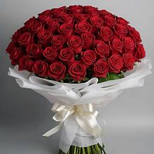 Букет 101 Красная роза Блэк Мэджик в Турово