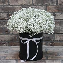Цветочная композиция из Гипсофила в шляпной коробке #REPLACE_PRED# Турово