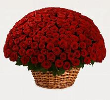 Премиум букет из: Розы в Турово